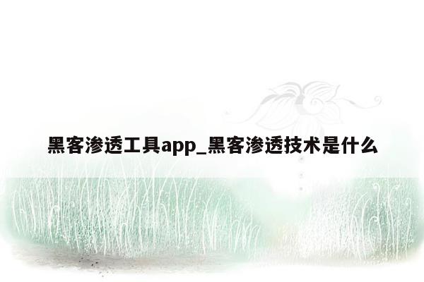 黑客渗透工具app_黑客渗透技术是什么