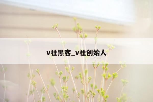 v社黑客_v社创始人