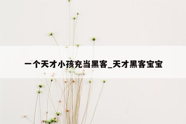 一个天才小孩充当黑客_天才黑客宝宝