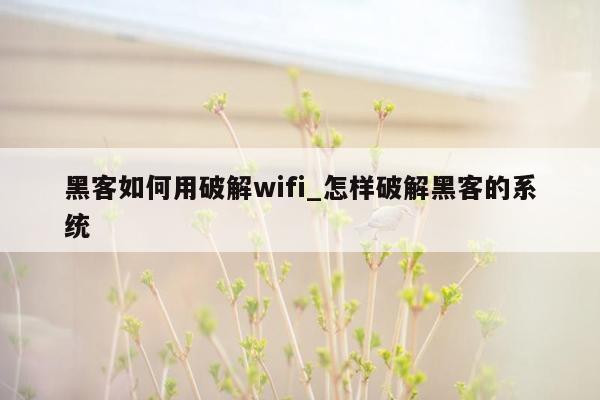 黑客如何用破解wifi_怎样破解黑客的系统