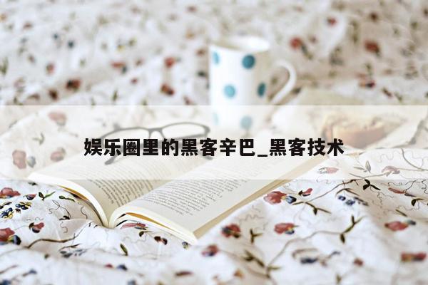 娱乐圈里的黑客辛巴_黑客技术