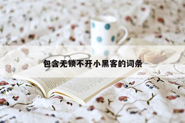 包含无锁不开小黑客的词条