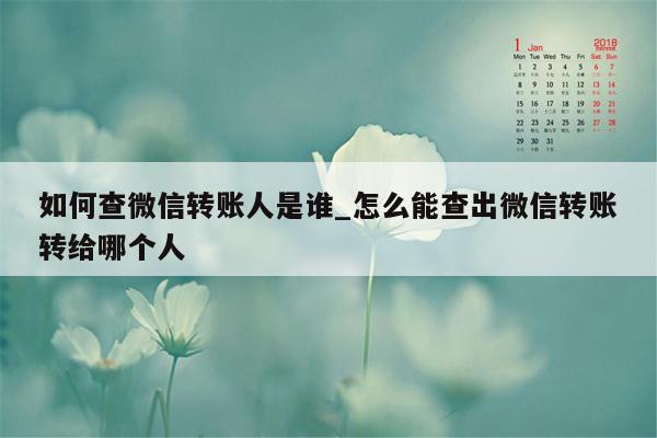 如何查微信转账人是谁_怎么能查出微信转账转给哪个人