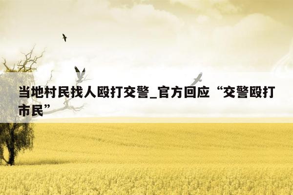 当地村民找人殴打交警_官方回应“交警殴打市民”