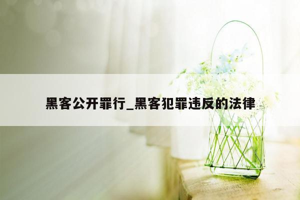 黑客公开罪行_黑客犯罪违反的法律
