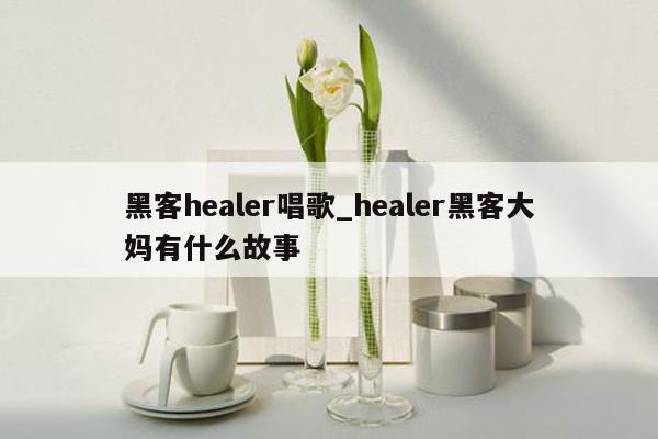 黑客healer唱歌_healer黑客大妈有什么故事