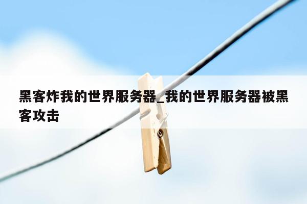 黑客炸我的世界服务器_我的世界服务器被黑客攻击