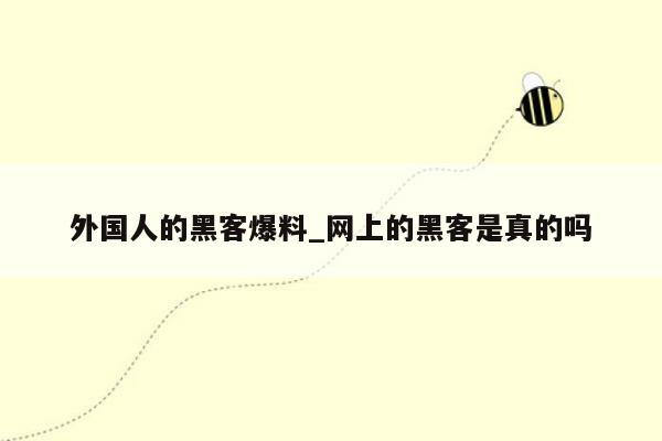 外国人的黑客爆料_网上的黑客是真的吗