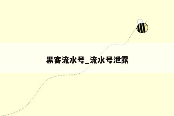 黑客流水号_流水号泄露