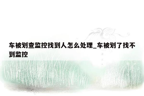 车被划查监控找到人怎么处理_车被划了找不到监控