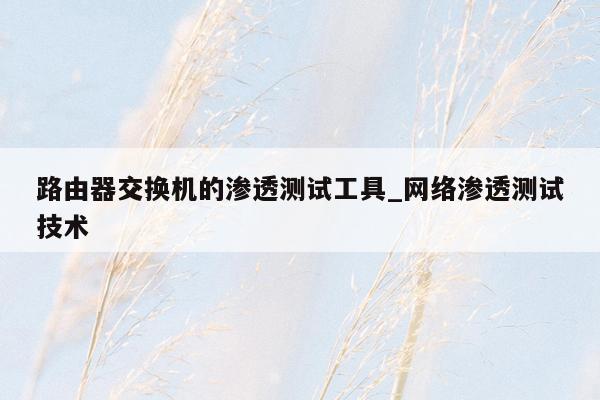 路由器交换机的渗透测试工具_网络渗透测试技术