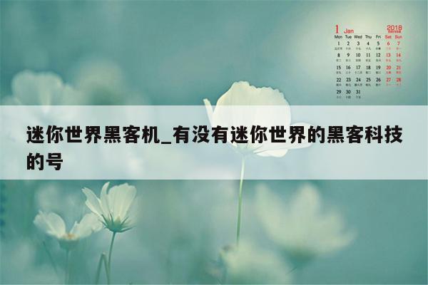 迷你世界黑客机_有没有迷你世界的黑客科技的号