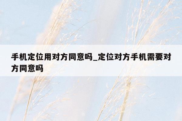 手机定位用对方同意吗_定位对方手机需要对方同意吗