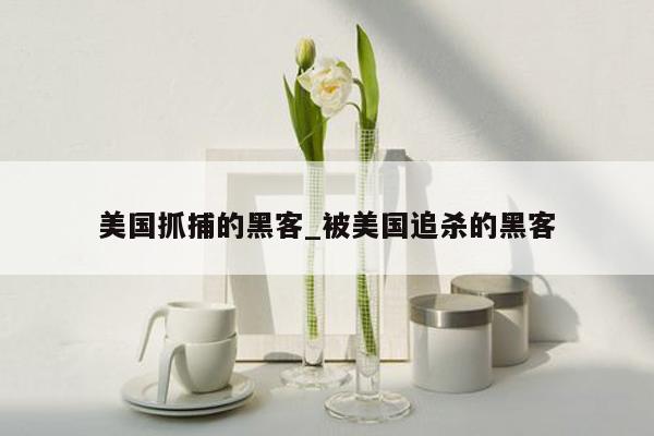 美国抓捕的黑客_被美国追杀的黑客