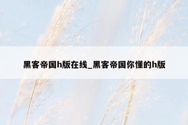 黑客帝国h版在线_黑客帝国你懂的h版