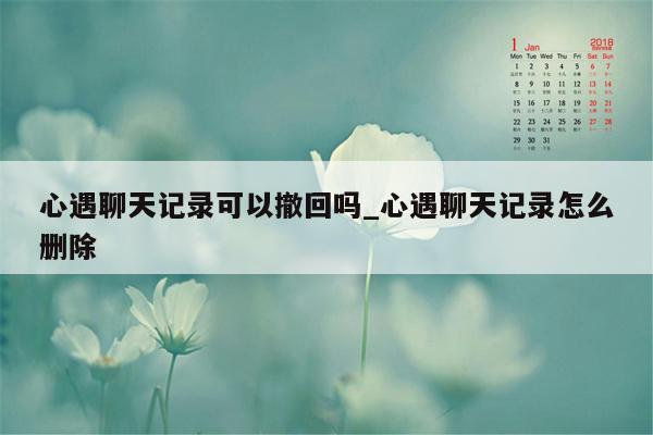 心遇聊天记录可以撤回吗_心遇聊天记录怎么删除