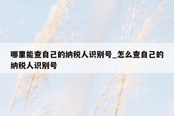 哪里能查自己的纳税人识别号_怎么查自己的纳税人识别号