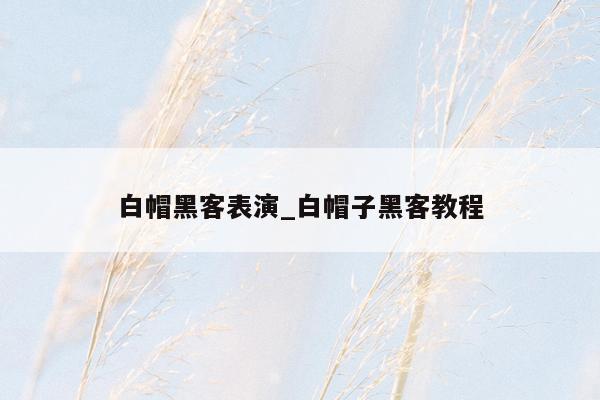 白帽黑客表演_白帽子黑客教程
