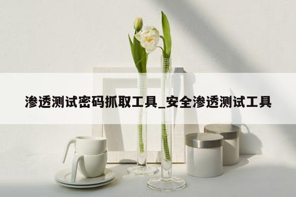 渗透测试密码抓取工具_安全渗透测试工具