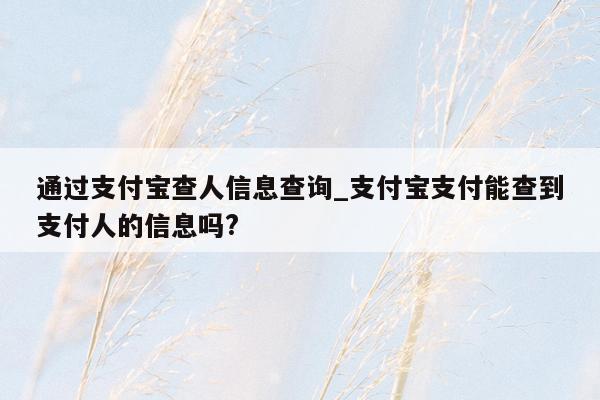 通过支付宝查人信息查询_支付宝支付能查到支付人的信息吗?