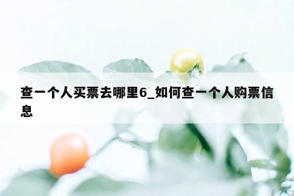 查一个人买票去哪里6_如何查一个人购票信息