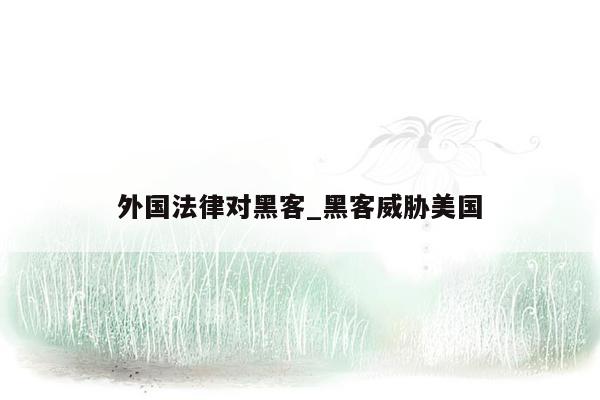 外国法律对黑客_黑客威胁美国