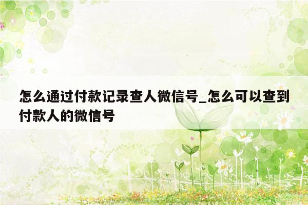 怎么通过付款记录查人微信号_怎么可以查到付款人的微信号
