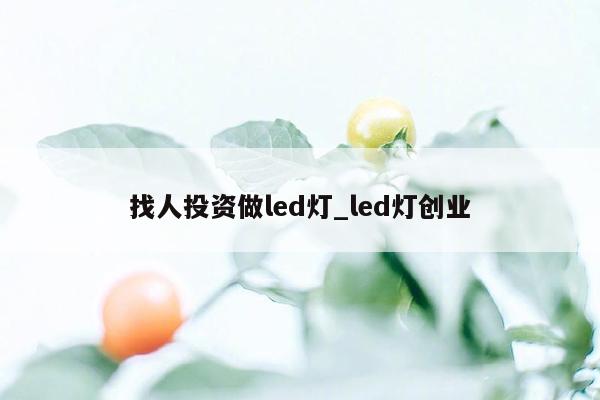 找人投资做led灯_led灯创业