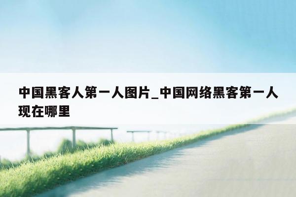 中国黑客人第一人图片_中国网络黑客第一人现在哪里