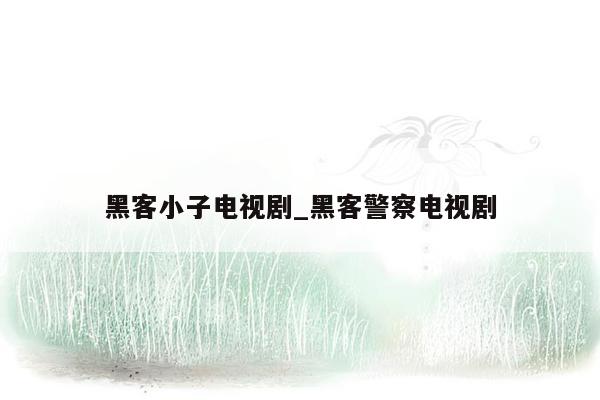 黑客小子电视剧_黑客警察电视剧