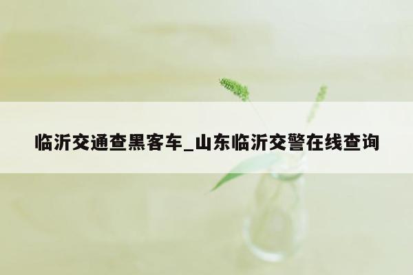 临沂交通查黑客车_山东临沂交警在线查询
