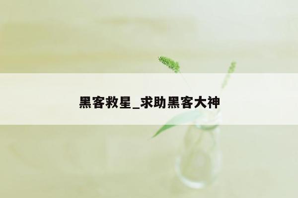 黑客救星_求助黑客大神