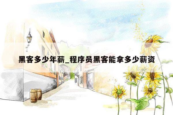 黑客多少年薪_程序员黑客能拿多少薪资