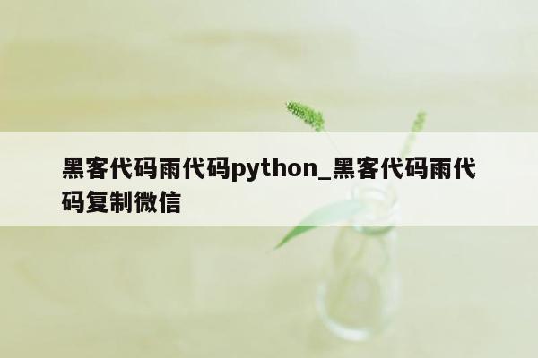 黑客代码雨代码python_黑客代码雨代码复制微信