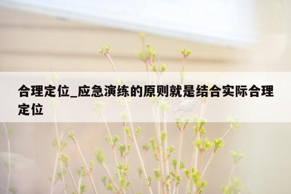 合理定位_应急演练的原则就是结合实际合理定位