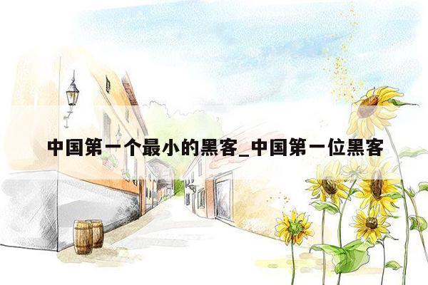 中国第一个最小的黑客_中国第一位黑客