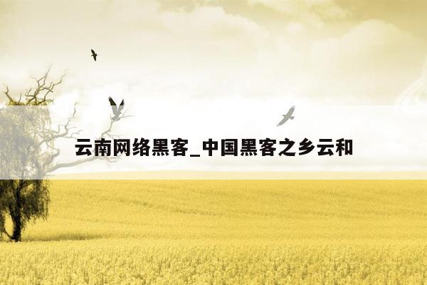 云南网络黑客_中国黑客之乡云和