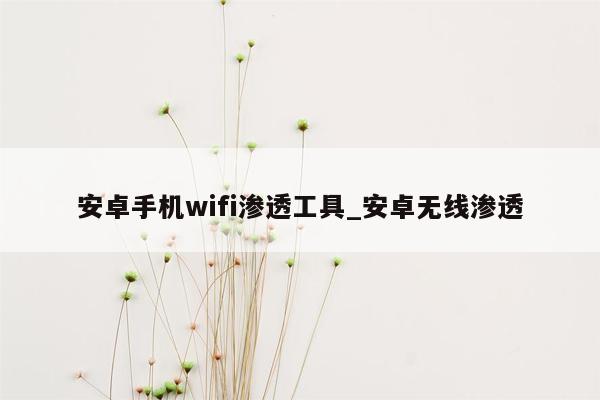 安卓手机wifi渗透工具_安卓无线渗透