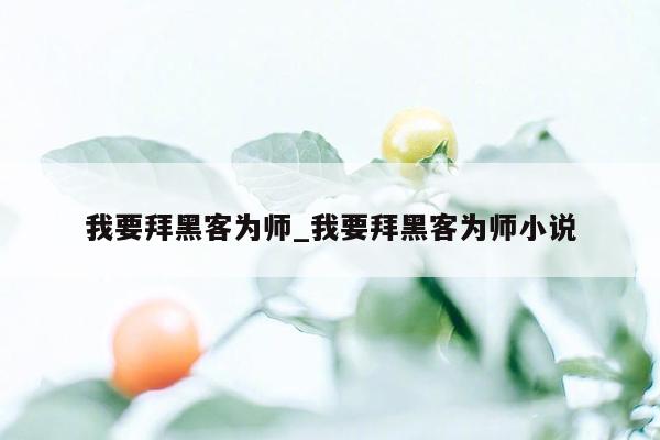 我要拜黑客为师_我要拜黑客为师小说