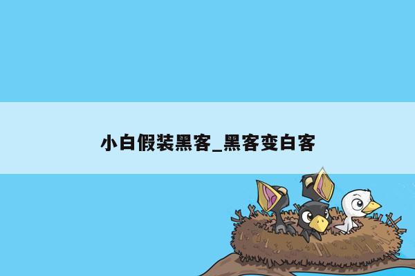 小白假装黑客_黑客变白客