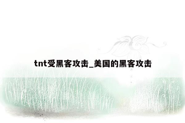tnt受黑客攻击_美国的黑客攻击