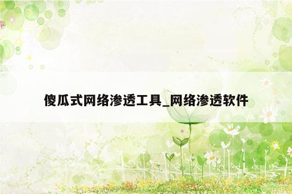 傻瓜式网络渗透工具_网络渗透软件