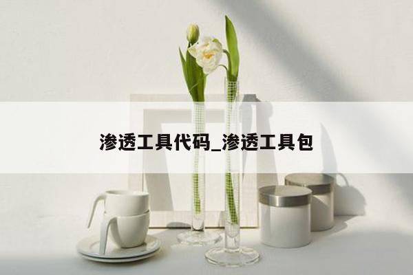 渗透工具代码_渗透工具包