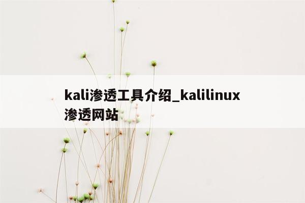 kali渗透工具介绍_kalilinux渗透网站