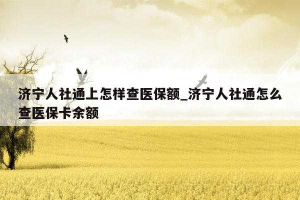 济宁人社通上怎样查医保额_济宁人社通怎么查医保卡余额