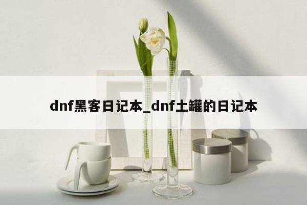dnf黑客日记本_dnf土罐的日记本