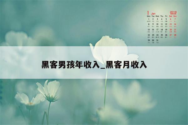 黑客男孩年收入_黑客月收入