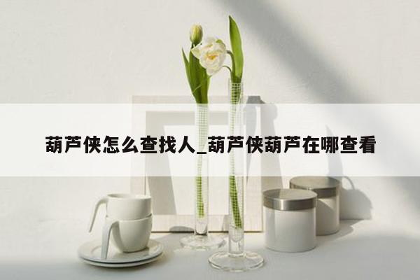 葫芦侠怎么查找人_葫芦侠葫芦在哪查看