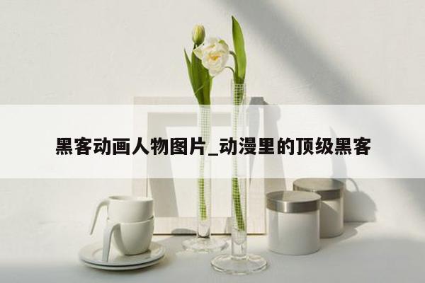 黑客动画人物图片_动漫里的顶级黑客