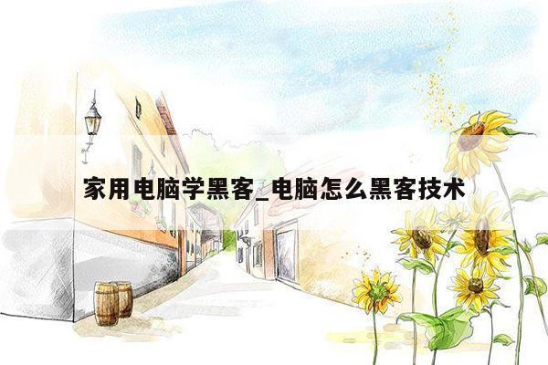 家用电脑学黑客_电脑怎么黑客技术